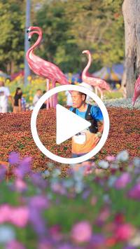 BIB:  <button type="button" onclick="openModal(27588715)" class="btn btn-primary btn-sm float-right" data-toggle="modal" data-target=".modal-high-quality">
                <i class="fa fa-download"></i> Download
                </button>